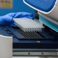 The Power of PCR: Understanding the Process and Its Uses